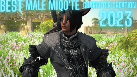 miqo'te|miqo'te male.